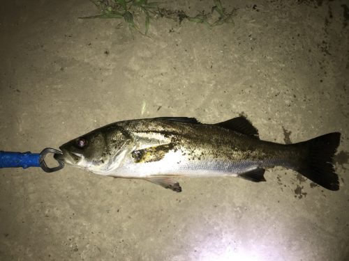 f4a6f360-87a0-4a75-855e-e464f3477910