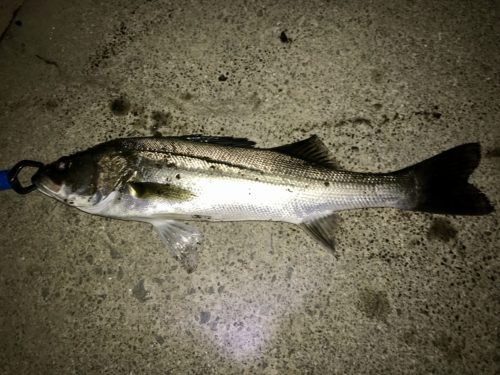 70b03226-ac94-46eb-89c7-81f1dc863204