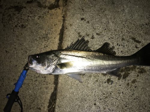 1cb12887-5f97-4181-8efb-e9ecdf850177