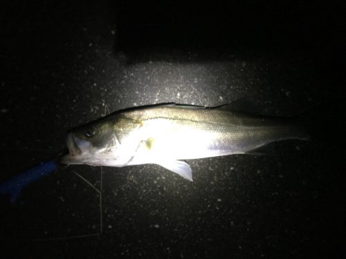 fc973a7f-946c-4f14-90b4-7b88ed43e651