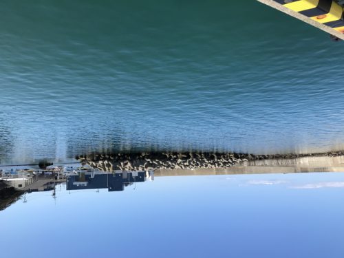 d5326eaa-24b3-4a55-9c22-8fbc9c04f0d1