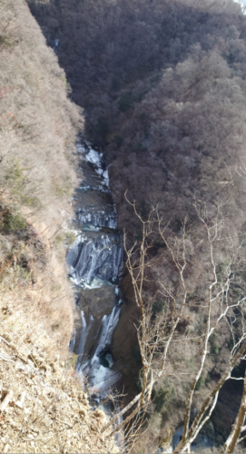 snapcrab_noname_2022-2-26_19-56-33_no-00