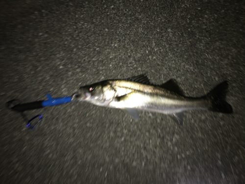 a94dfe11-9ad8-49d8-84fb-31d3d9b85d96