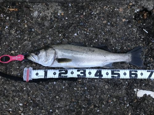 a60f16c8-b175-45cd-8aed-f8c3edd8ae1d