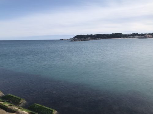 ae218487-628e-416b-8bce-4a8bf7d9d5a0