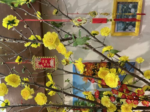 f7cc9c0b-4ddc-4903-be9b-da8999c50928