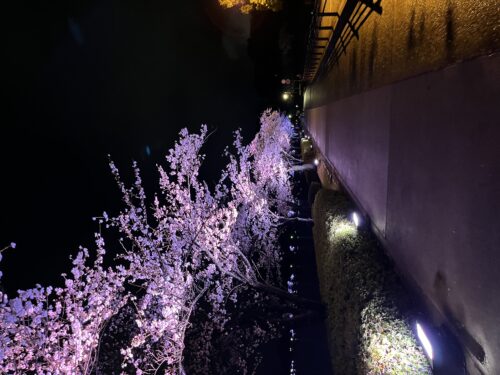 062ada77-1c99-4f78-b139-37efb024d4ef