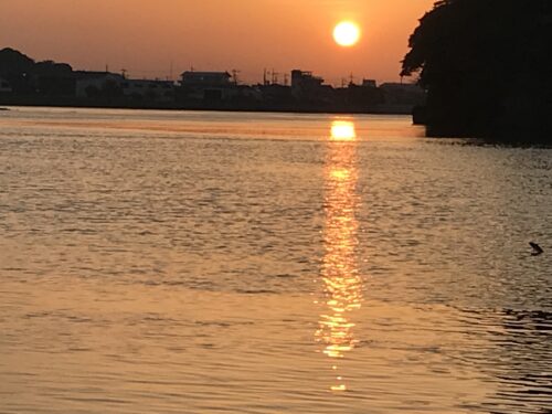 17692ada-e95f-4e44-b802-c02ada011642