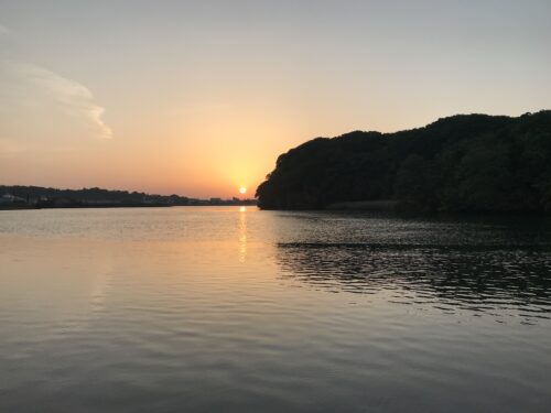 3b2238b5-bb34-4e53-9d8b-0bc6ef9c1967