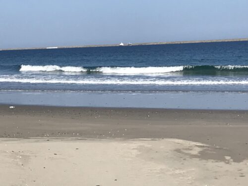 1de3dc03-eabd-4c39-b506-a540549d5756