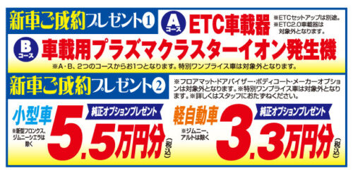 %e3%81%94%e6%88%90%e7%b4%84%e7%89%b9%e5%85%b8%e7%94%bb%e5%83%8f_4982ad0a-6a5d-11ef-8e65-fa163e794ba5