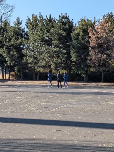 pxl_20250218_000436505