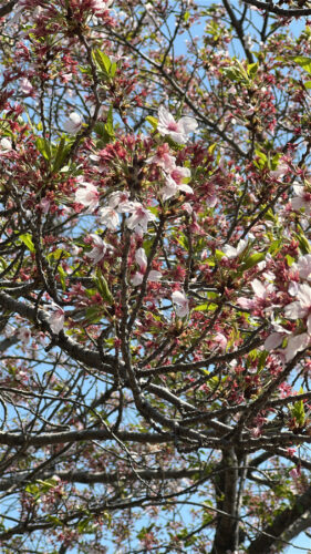 f70dd630-04c6-4940-b046-364fa93ebcdd