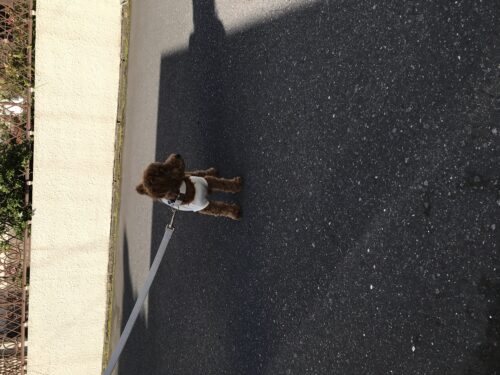 24446407-ffe4-4883-be56-ec11b154e3aa