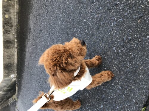 e9584818-b60c-48bd-bf34-7509a97786b6