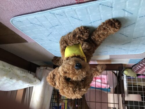 374af6bf-c90c-43f3-b422-a34641ad8680