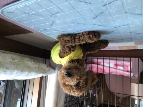 75df0c70-96ba-4b36-b045-f4e6a6450b84