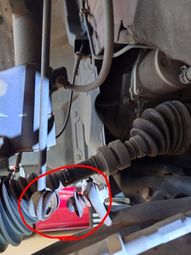 20250824_1335105522-002