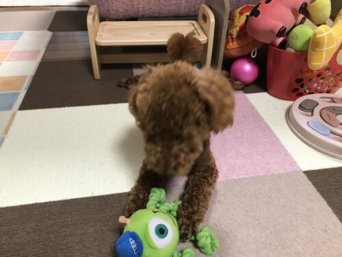 d525f421-b1cd-4332-84c9-1786c7af4b6d