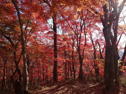 20251124_134611121-3