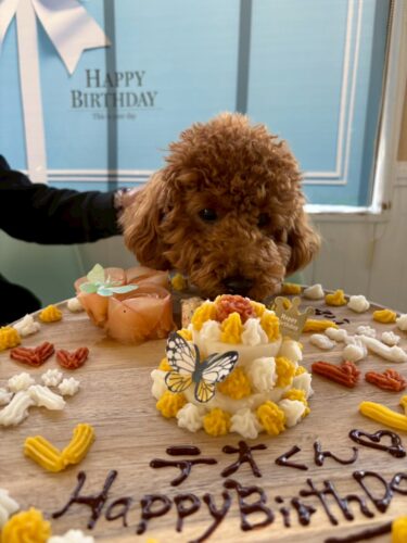 e51a2f33-7c9b-4391-b56e-7ab58f32ae76