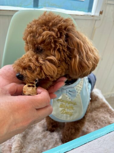 f87fef75-f03f-4eb9-b2c1-31f01a4cf9a3