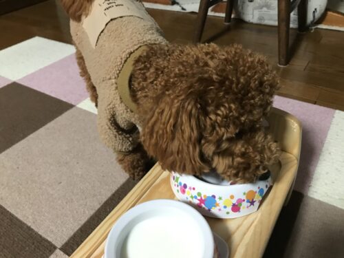 c8ba3c27-f299-40ac-b677-6c7977111603