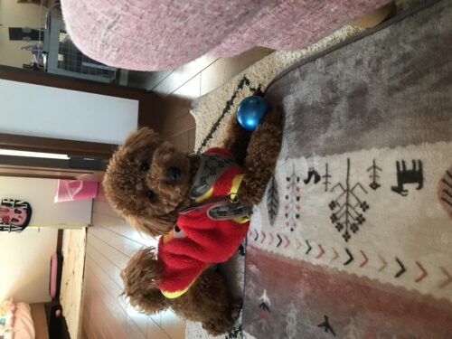 0f32424e-f640-4080-be95-8e463a234f8d