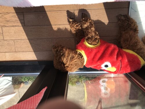 e78920e9-bcd7-43a1-99e8-6ffdd4d96e46