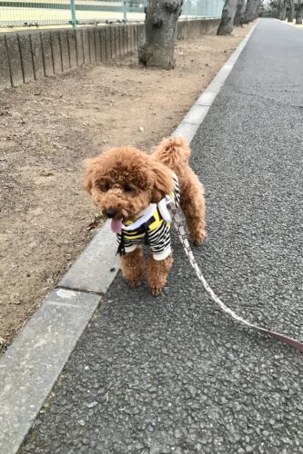 f159c91a-4405-4580-9a86-d04454b842fa