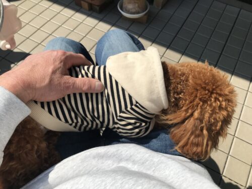 54f00574-5018-4a0c-8416-2fad6fa7ffa2